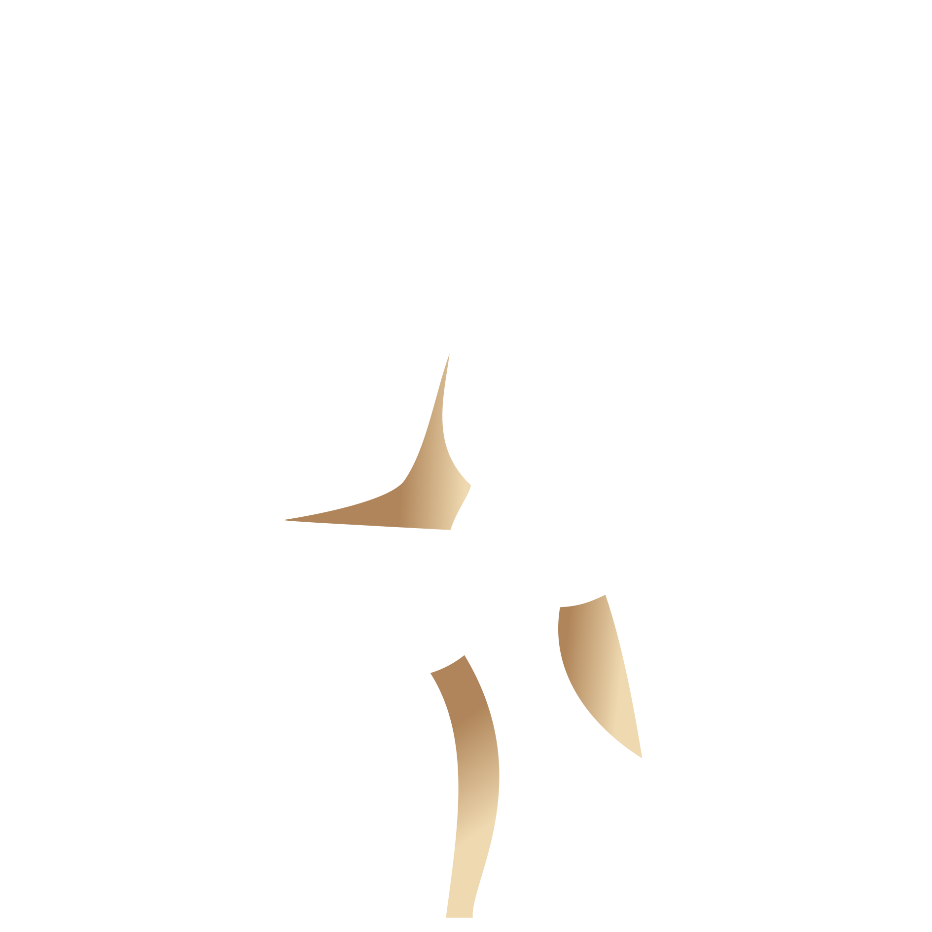 Treningi w parach Kraków – wspólne treningi personalne